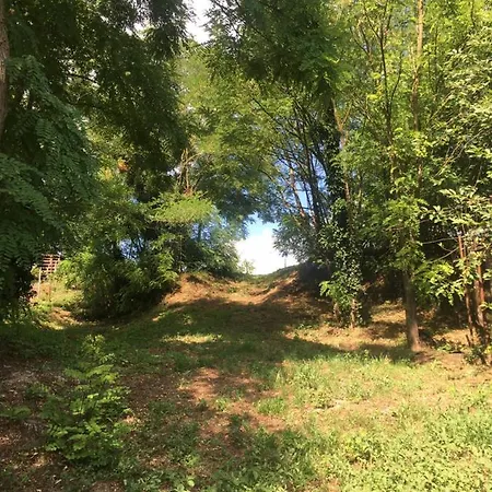 Zoeld Cica Vendeghaz