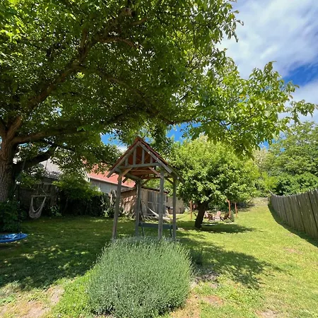 Zoeld Cica Vendeghaz