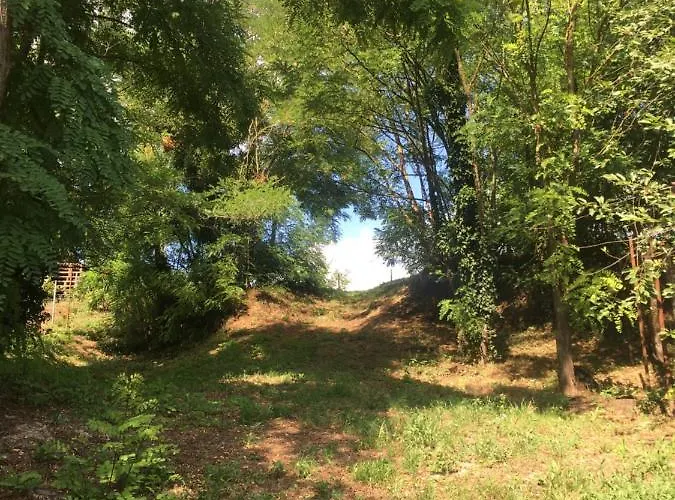 Zoeld Cica Vendeghaz