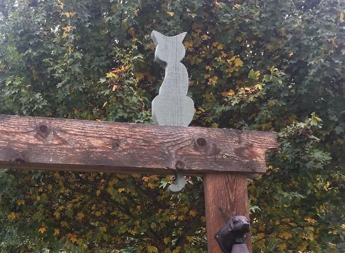 Zoeld Cica Vendeghaz Héviz